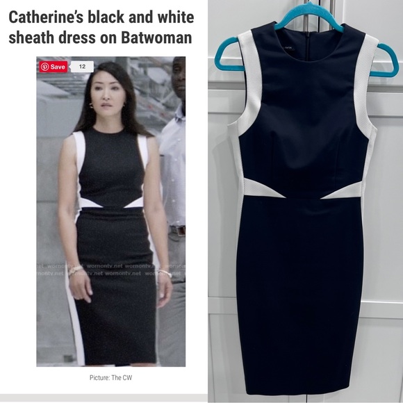 Judith & Charles Dresses & Skirts - Tilberg Colorblock Sheath Dress Judith & Charles As seen on Catwomen Sz 4